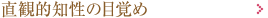直感的知性の目覚め