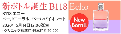 B118 エコー