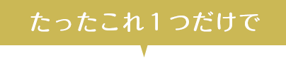 たったこれ一つで