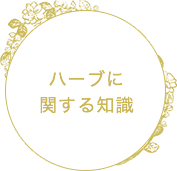 ハーブに関する知識