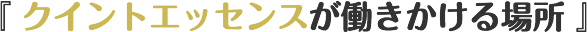 『 クイントエッセンスが働きかける場所 』