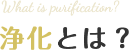 浄化とは？