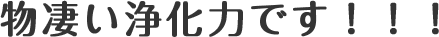物凄い浄化力です！！！