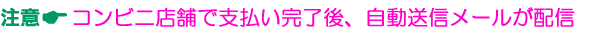コンビニ店舗にてお支払い完了後、お支払い内容の確認メールが自動送信されます