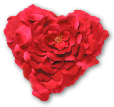 UHP ハートピロー バラの花を思わせるこの美しいハートは、愛が花開くことを通してスピリットとマインドそして体を癒すことを物語っています。＜ユニオミスティ・ハートピロー＞